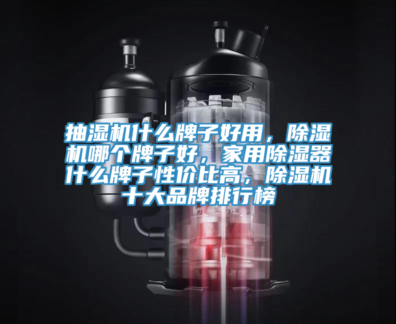 抽濕機(jī)什么牌子好用，除濕機(jī)哪個(gè)牌子好，家用除濕器什么牌子性?xún)r(jià)比高，除濕機(jī)十大品牌排行榜