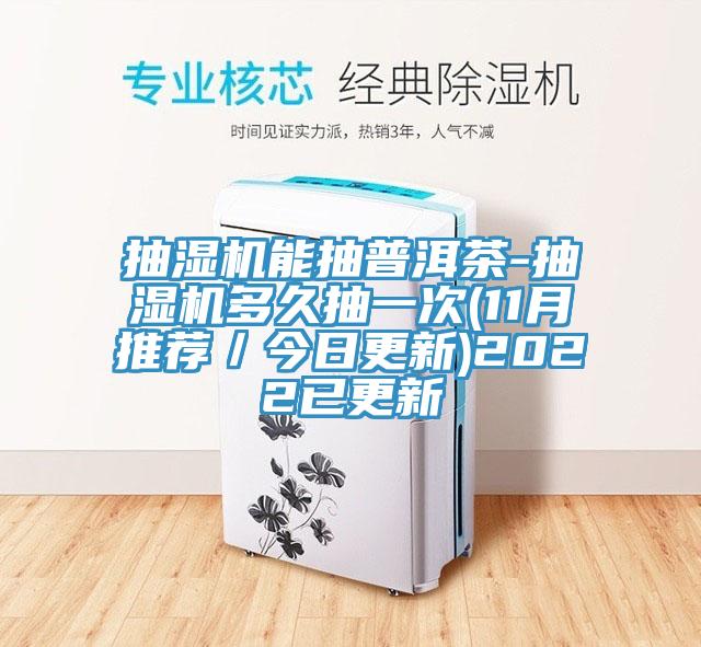 抽濕機能抽普洱茶-抽濕機多久抽一次(11月推薦／今日更新)2022已更新
