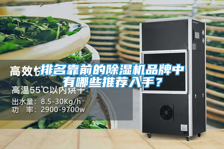 排名靠前的除濕機(jī)品牌中有哪些推薦入手？