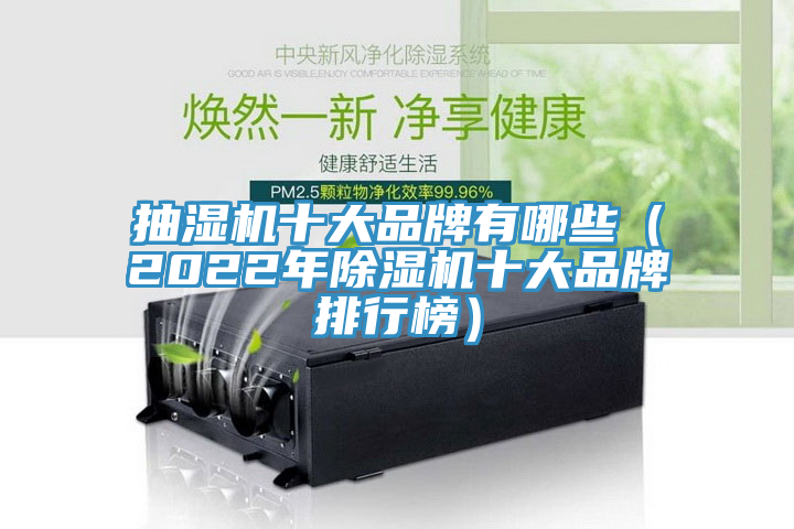 抽濕機(jī)十大品牌有哪些(2022年除濕機(jī)十大品牌排行榜)