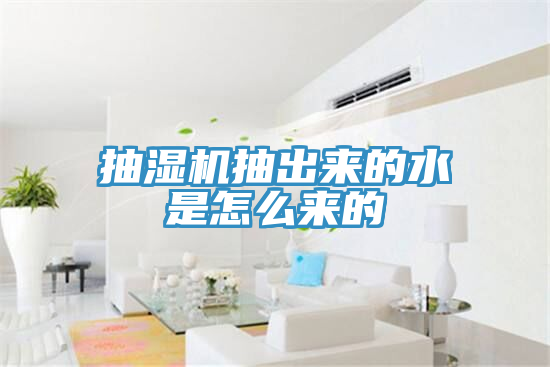 抽濕機(jī)抽出來的水是怎么來的
