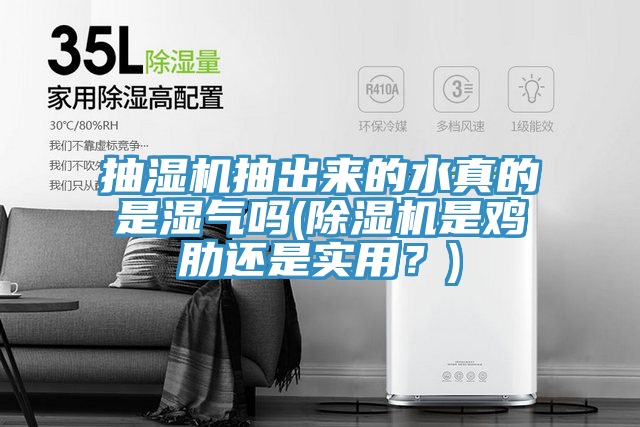 抽濕機抽出來的水真的是濕氣嗎(除濕機是雞肋還是實用？)